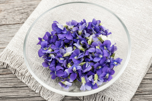 Edible violets in bowl Stock photo © elenaphoto