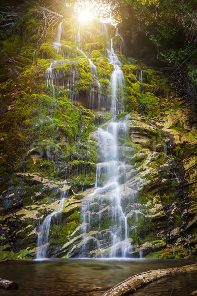 [[stock_photo]]: La · cascade · vert · mousse · couvert · roches