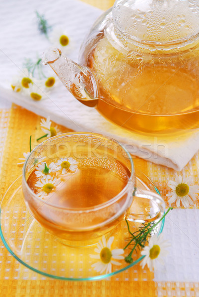 Chamomile tea Stock photo © elenaphoto