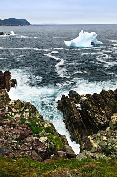 Melting iceberg Stock photo © elenaphoto