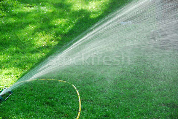 Sprinkler prato erba sole home Foto d'archivio © elenaphoto