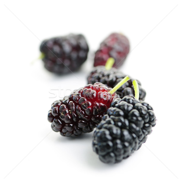 Mulberries close up Stock photo © elenaphoto