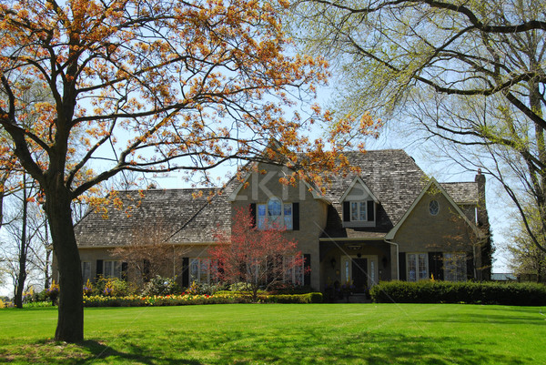 [[stock_photo]]: Manoir · printemps · luxe · maison · famille · herbe