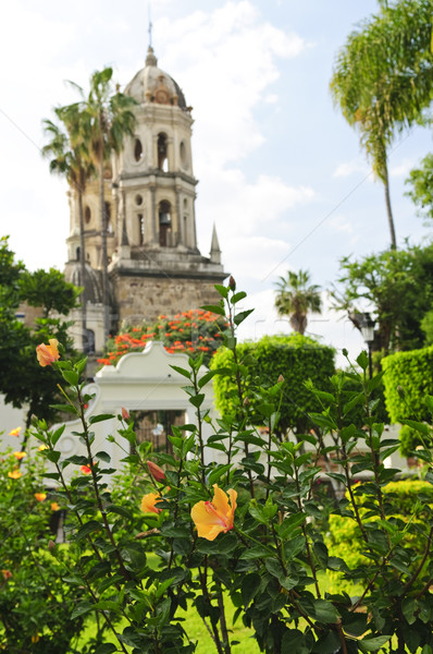 Templo de la Soledad, Guadalajara Jalisco, Mexico Stock photo © elenaphoto