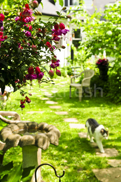 Foto stock: Casa · jardim · caminho · pedras · casa