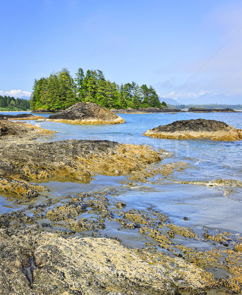 Coast of Pacific ocean, Vancouver Island, Canada Stock photo © elenaphoto