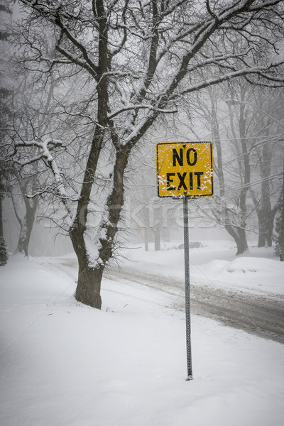 Winter road during snowfall Stock photo © elenaphoto