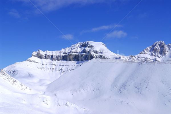 Mountain landscape Stock photo © elenaphoto
