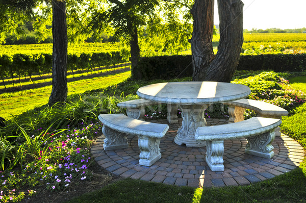 Benches overlooking vineyard Stock photo © elenaphoto