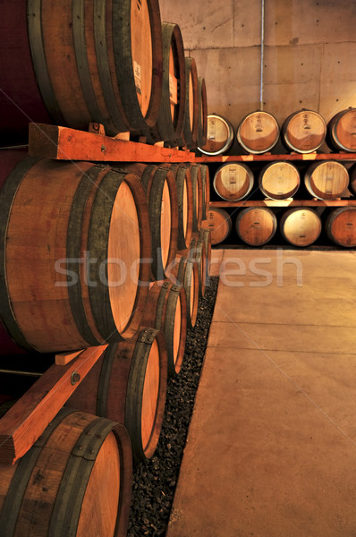 Vin stejar vinicole bea Imagine de stoc © elenaphoto