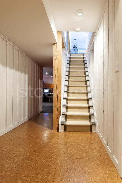 Piwnica schody domu klatka schodowa gotowy domu Zdjęcia stock © elenaphoto