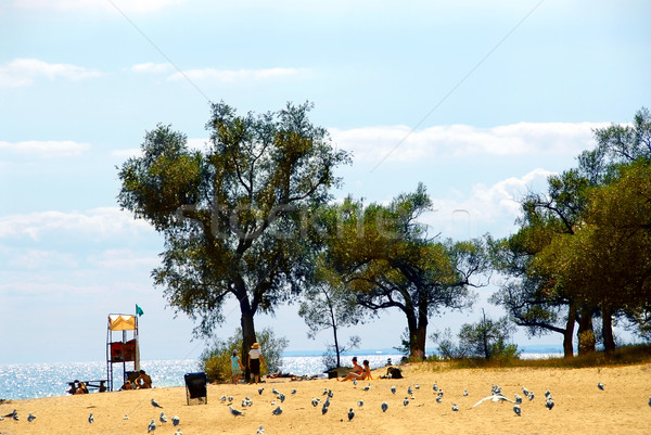 Foto d'archivio: Spiaggia · scena · persone · alberi · frizzante · mare