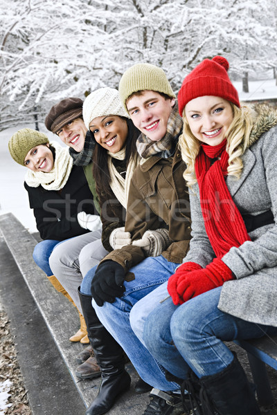 Stockfoto: Groep · vrienden · buiten · winter · jonge