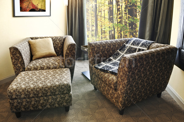 Armchairs with ottoman Stock photo © elenaphoto