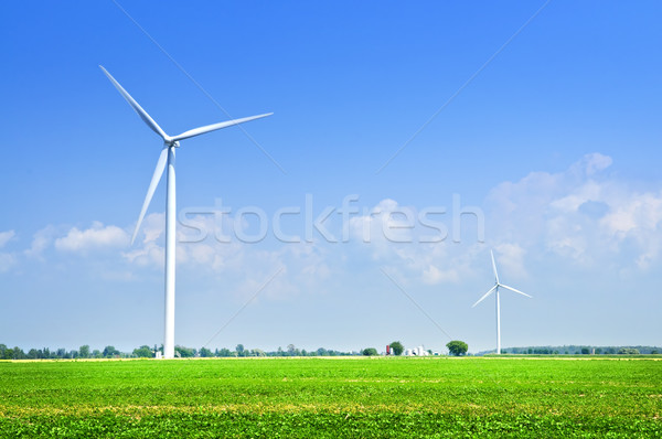 Wind turbines in field Stock photo © elenaphoto