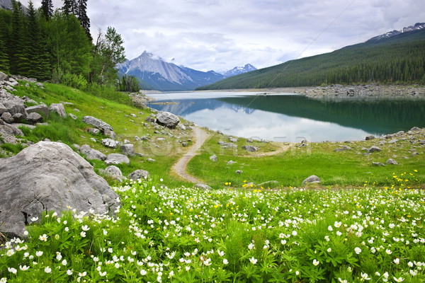 Mountain lake in Jasper National Park, Canada Stock photo © elenaphoto