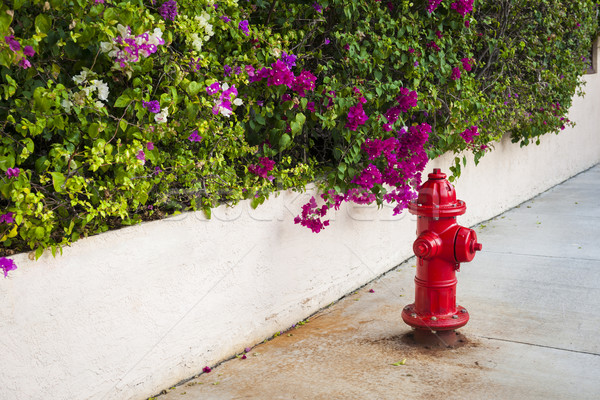 Key West fire hydrant Stock photo © elenaphoto