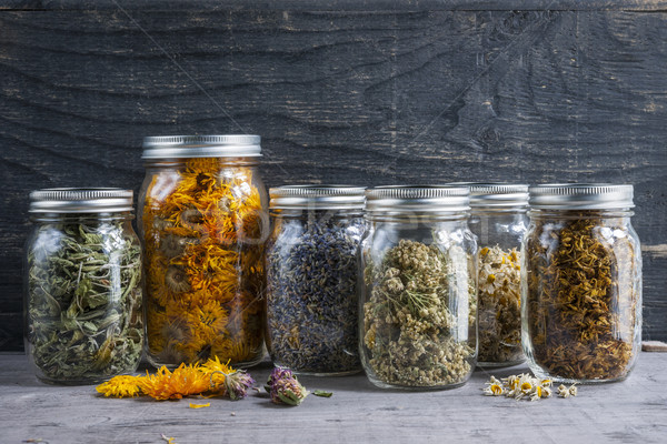 Herbs in jars Stock photo © elenaphoto