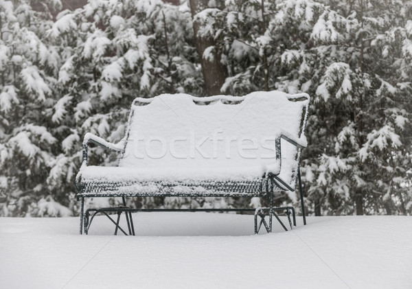 Snow covered bench Stock photo © elenaphoto