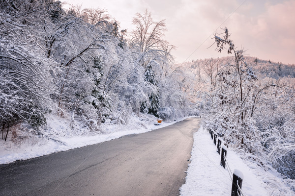 Zimą drogowego opadów śniegu lodowaty lasu pokryty Zdjęcia stock © elenaphoto