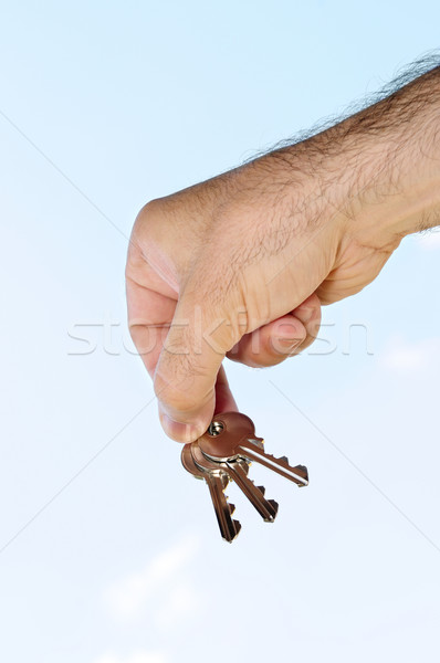 Stock fotó: Kéz · tart · kulcsok · ház · kék · ég · test