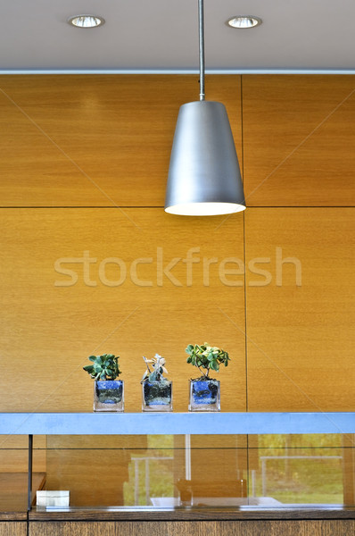 Modernes intérieur lumière luminaires bois maison Photo stock © elenaphoto