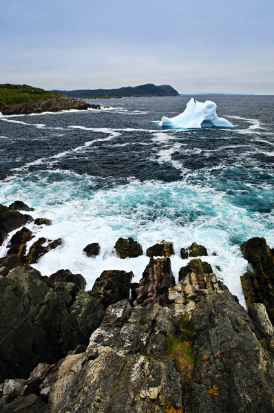 Melting iceberg Stock photo © elenaphoto