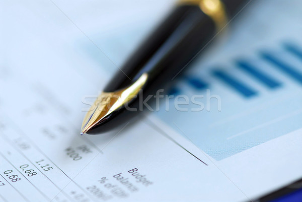 Pen finance graph Stock photo © elenaphoto