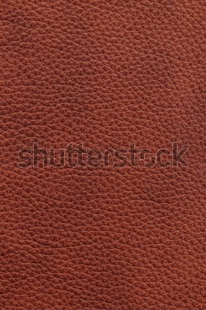 Brown leather background Stock photo © elenaphoto