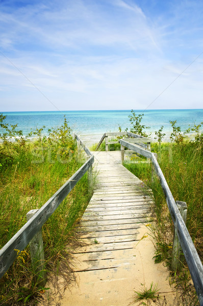 Wooden walkway over dunes at beach Stock photo © elenaphoto