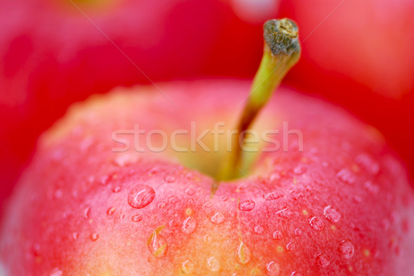 Red apples macro Stock photo © elenaphoto