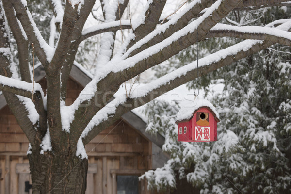 紅色 穀倉 樹 冬天 雪 覆蓋 商業照片 © elenaphoto