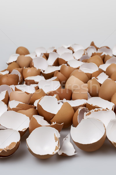 Roto muchos marrón vacío huevo Foto stock © elenaphoto