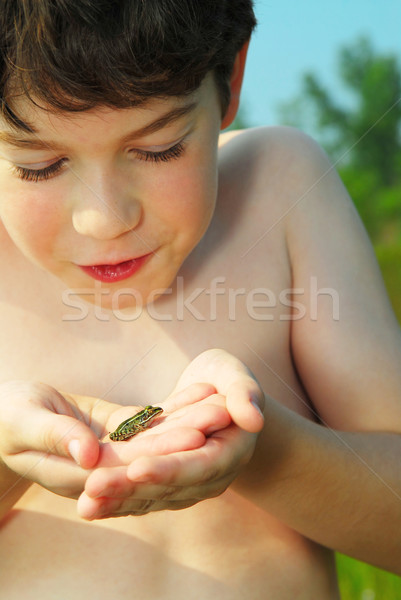 Boy with a frog Stock photo © elenaphoto