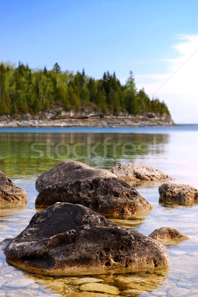 Lake landscape Stock photo © elenaphoto