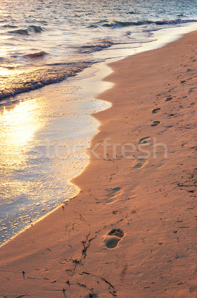 Tropischen Strand Fußabdrücke tropischen Sandstrand sunrise Sonnenuntergang Stock foto © elenaphoto