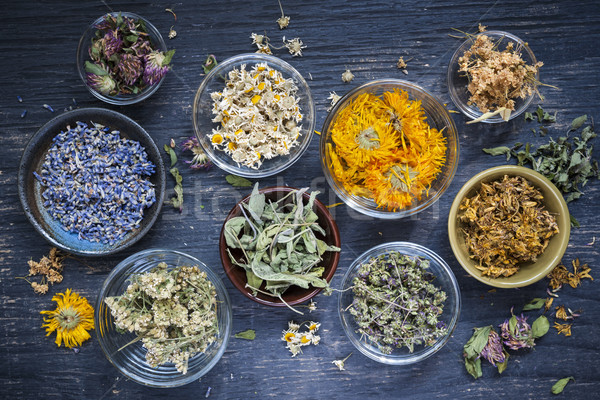 Herbs Stock photo © elenaphoto