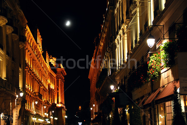 şehir ışık sokak Paris Fransa Stok fotoğraf © elenaphoto