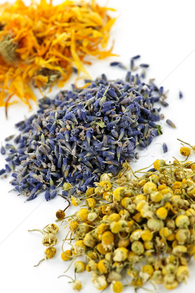 Dried medicinal herbs Stock photo © elenaphoto