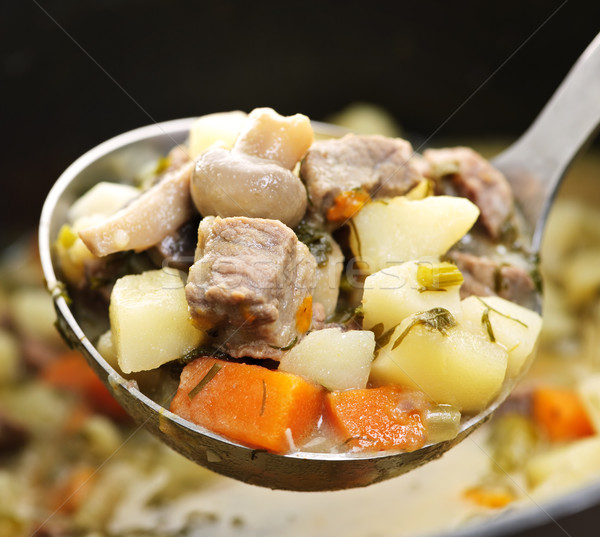 Beef stew in serving spoon Stock photo © elenaphoto