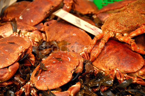 Crabs Stock photo © elenaphoto