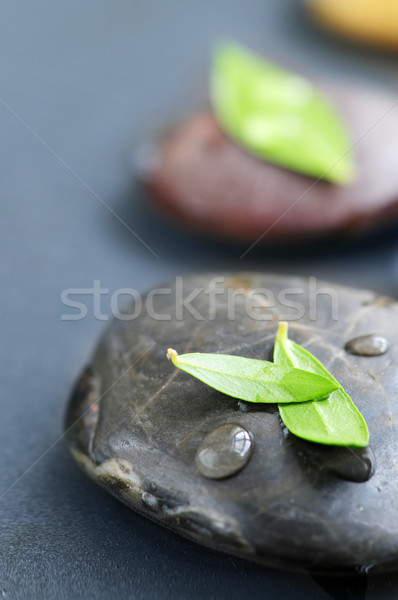 Zen kamienie wody zielone liście liści zdrowia Zdjęcia stock © elenaphoto