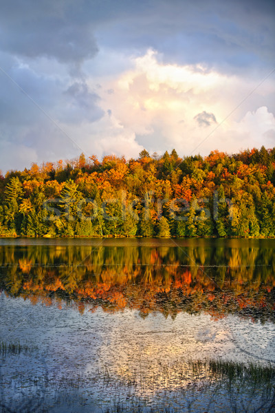 Düşmek orman göl renkli sonbahar ağaçlar Stok fotoğraf © elenaphoto