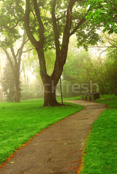 Stockfoto: Mistig · park · pad · groene · voorjaar · bos