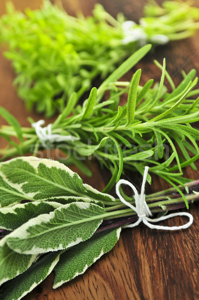 Bunches of fresh herbs Stock photo © elenaphoto