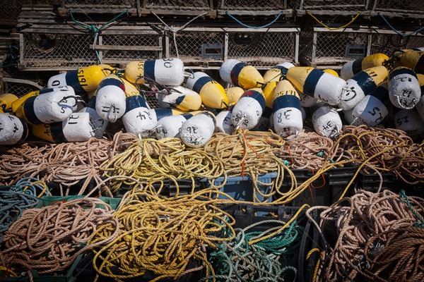 Lobster traps, floats and rope Stock photo © elenaphoto