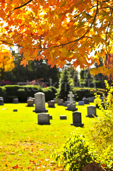 Graveyard with tombstones Stock photo © elenaphoto