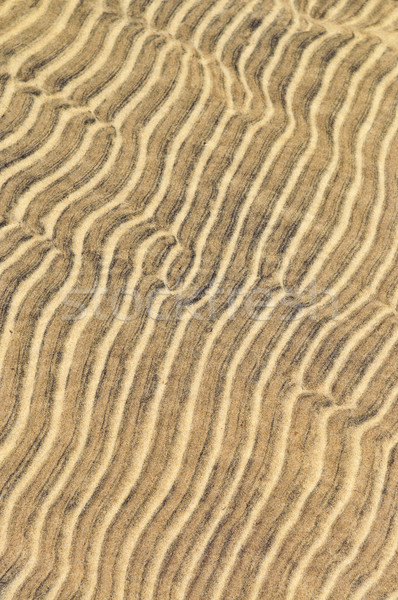 Sand ripples in shallow water Stock photo © elenaphoto