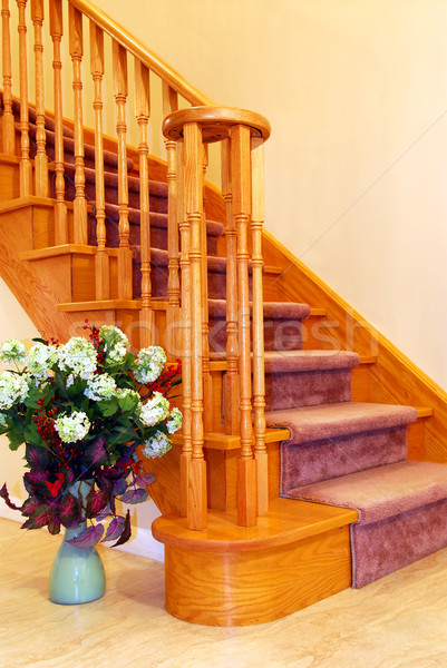 Korytarzu wnętrza domu solidny drewna schody Zdjęcia stock © elenaphoto