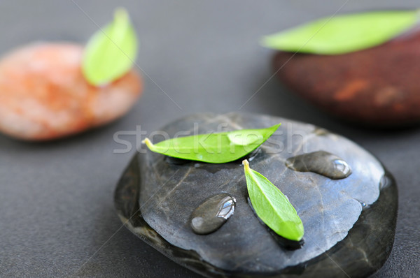 Stock photo: Stones in water